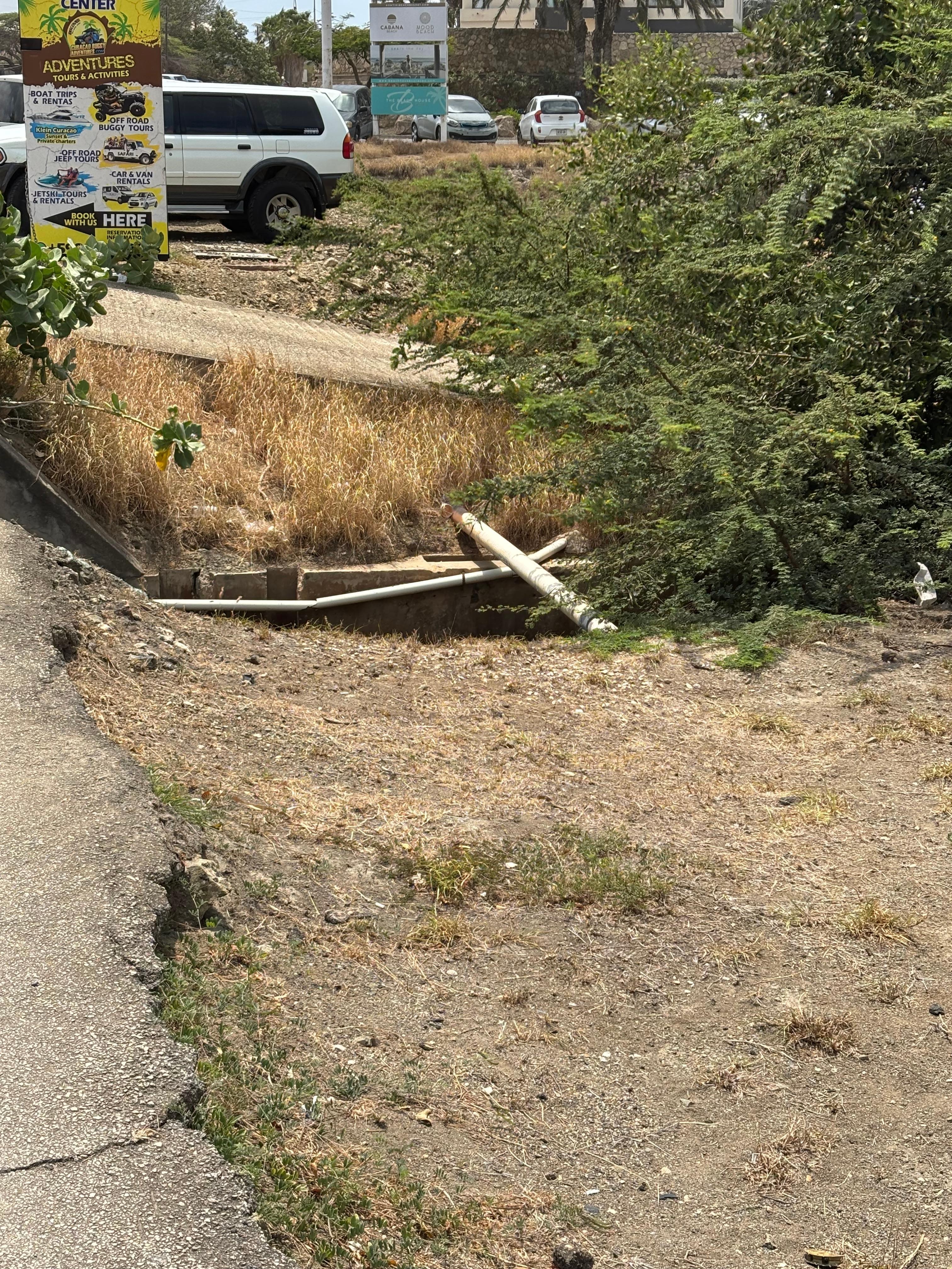 Right outside the Resort… oh & it smells too