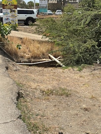 Right outside the Resort… oh & it smells too