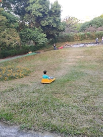 滑草好玩,拉滑板很累,小黑蚊很多。