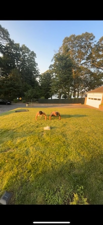 Best morning push ups I ever did with my boy and beautiful view in the back