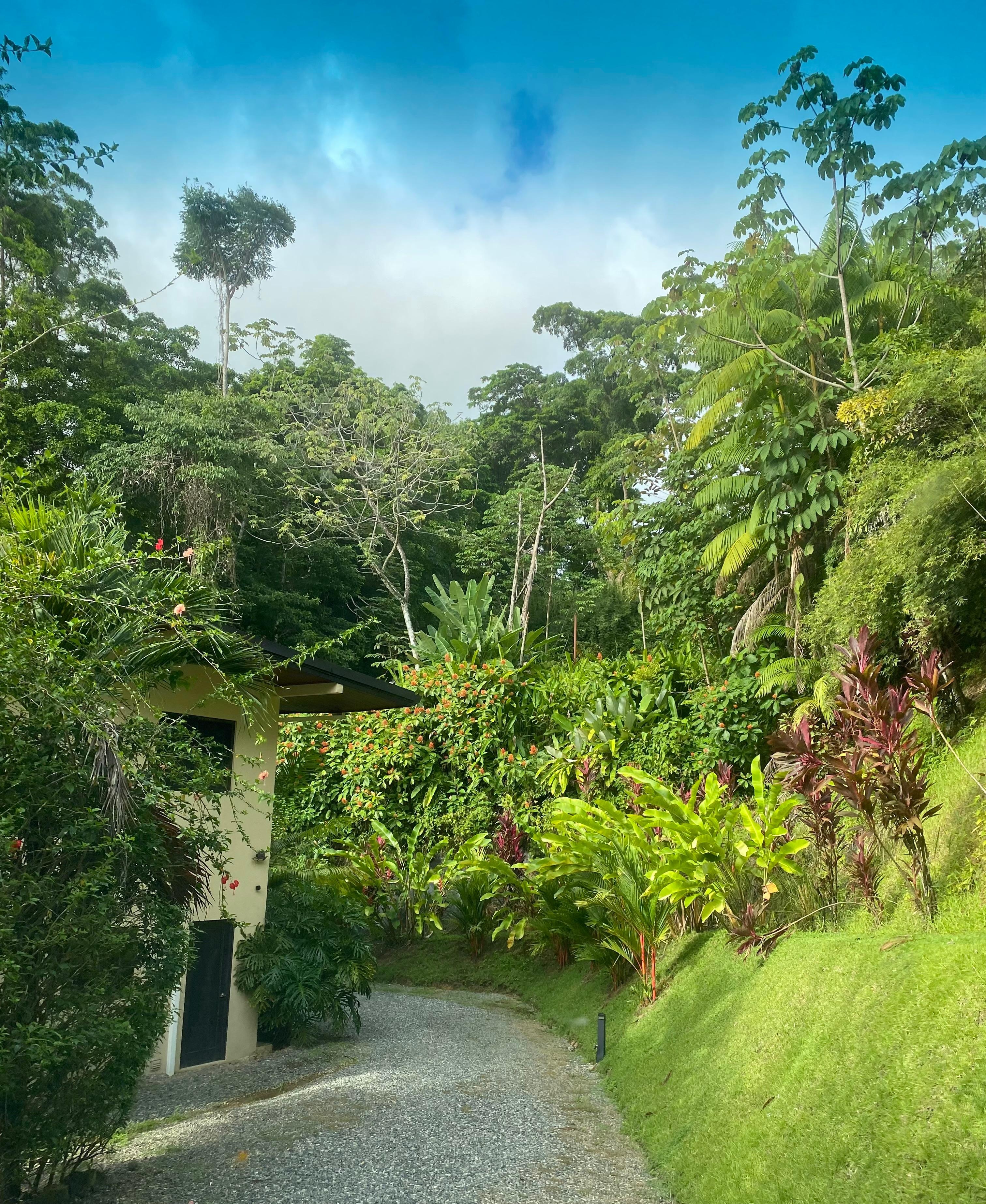 Entry driveway