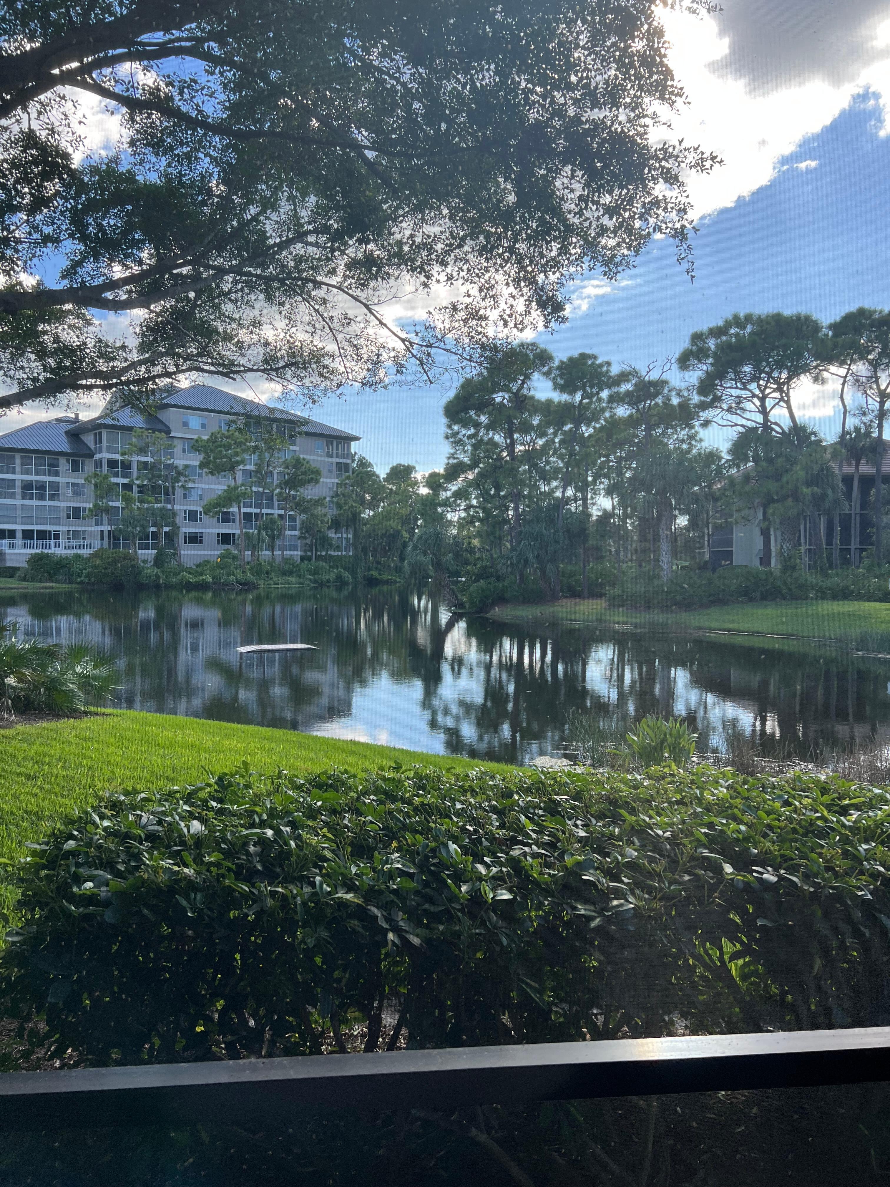 View from our lanai. 