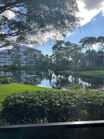 View from our lanai.