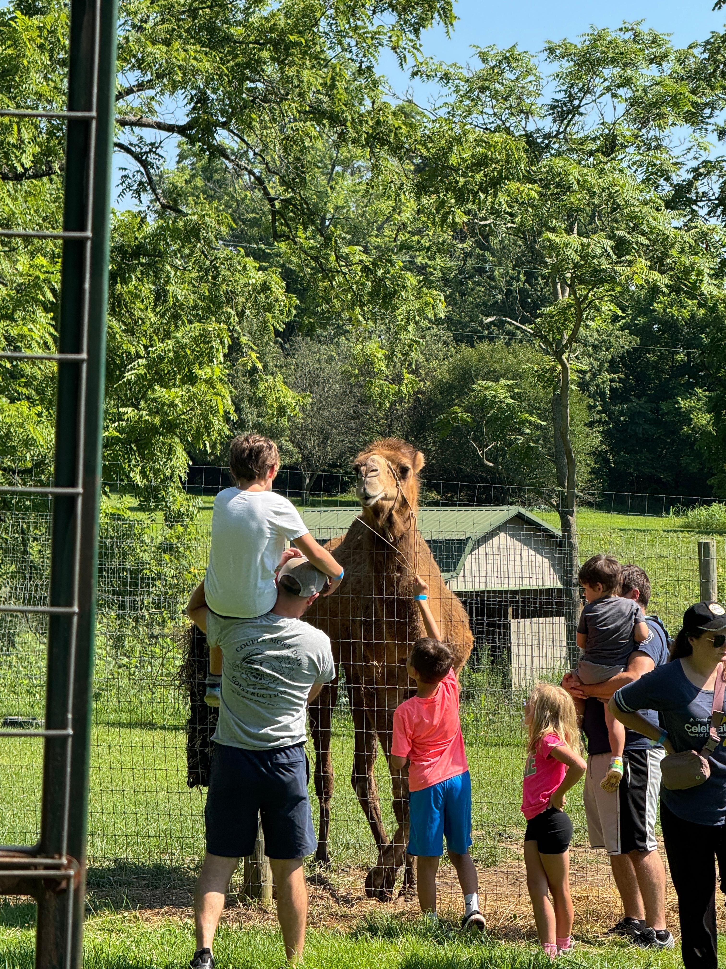 Family Adventure PARK. They lived feeding the animals.