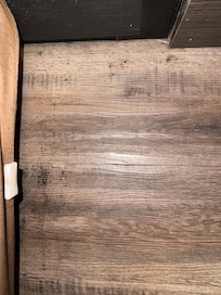 Mold on the floor in 117!