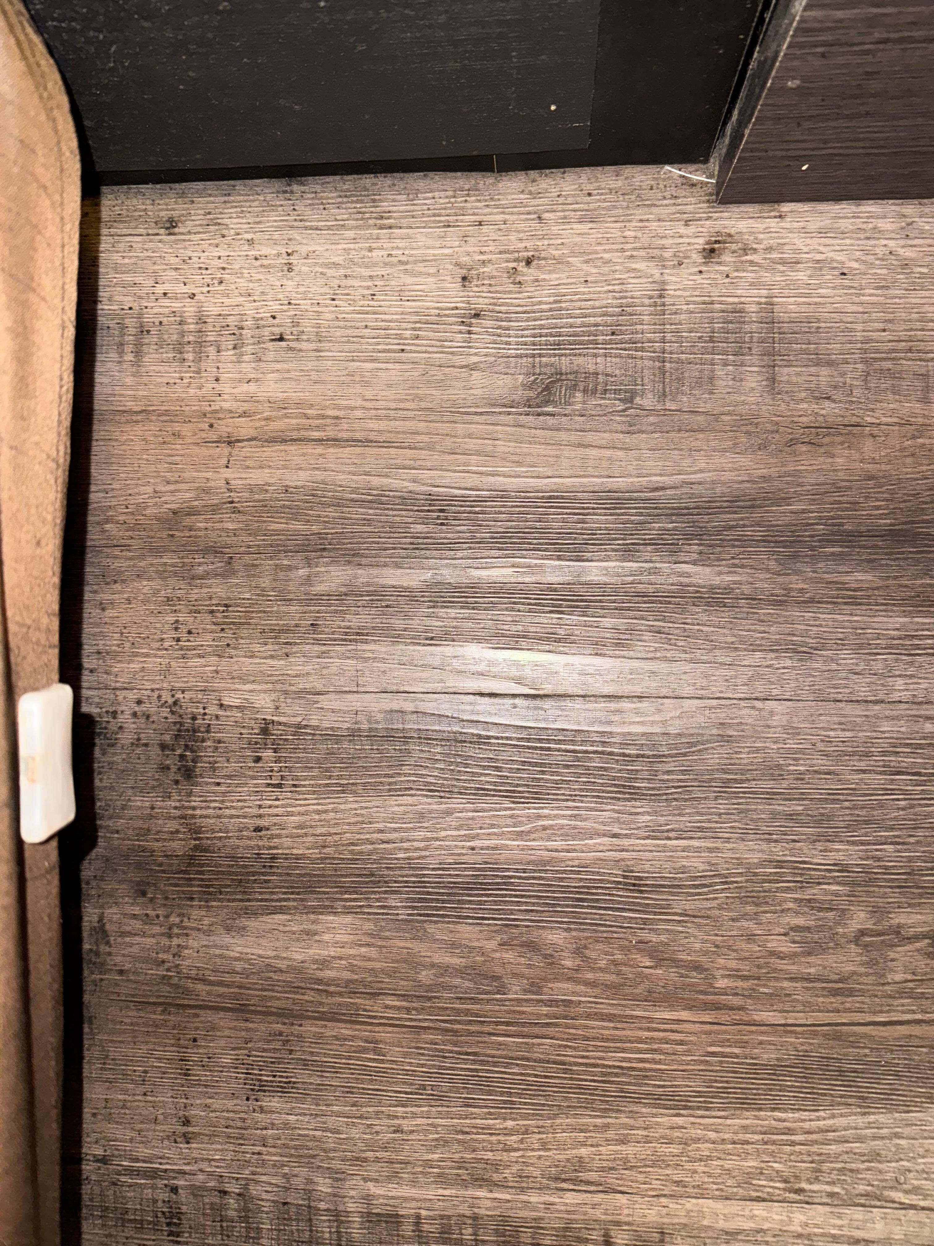 Mold on the floor in 117! 