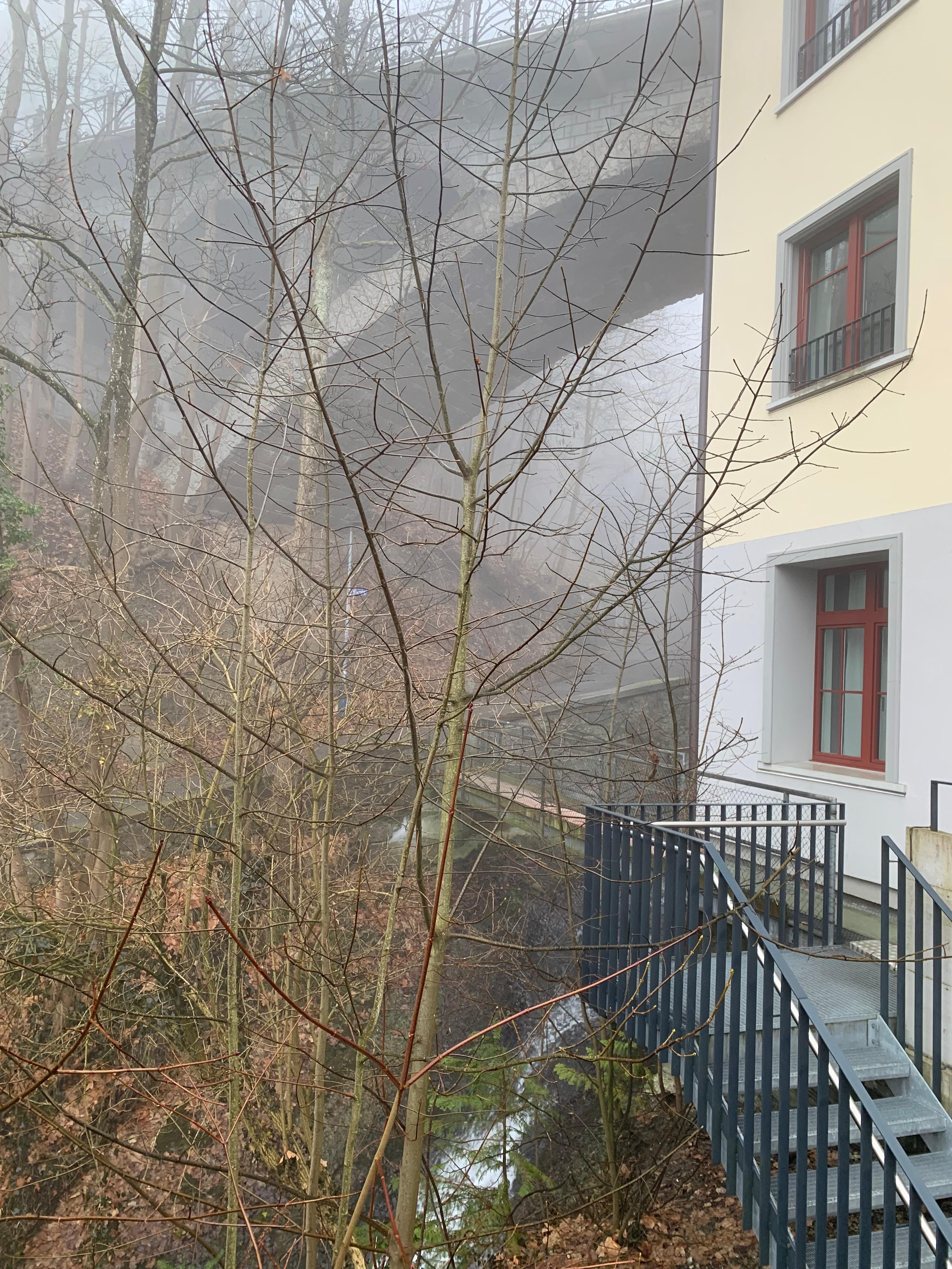 Außenansicht 
Sicht mit Mühlenschlucht