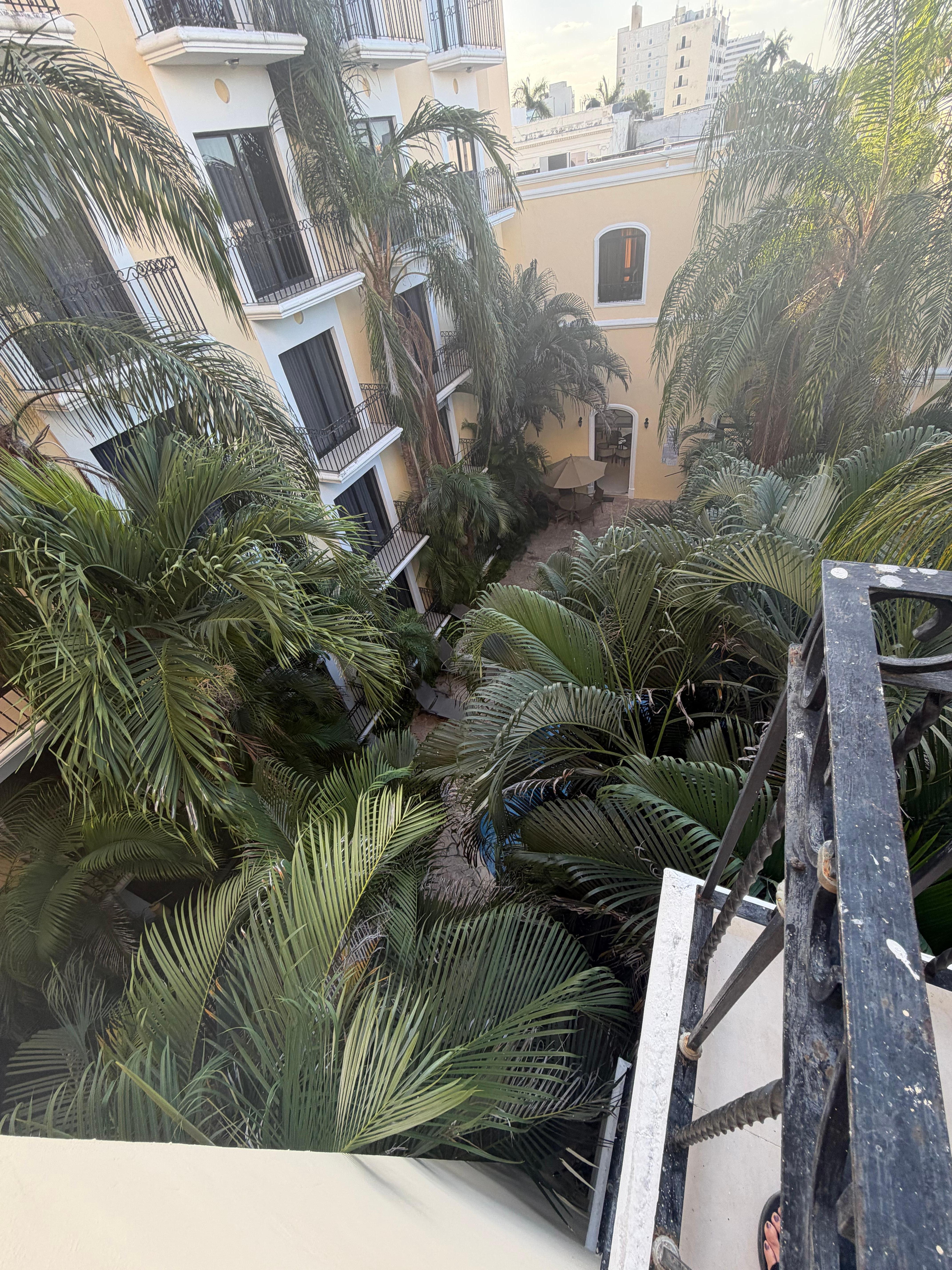 Beautiful greenery with view of the pool down below. 