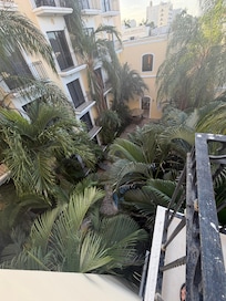 Beautiful greenery with view of the pool down below.