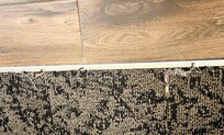 Frayed carpet
