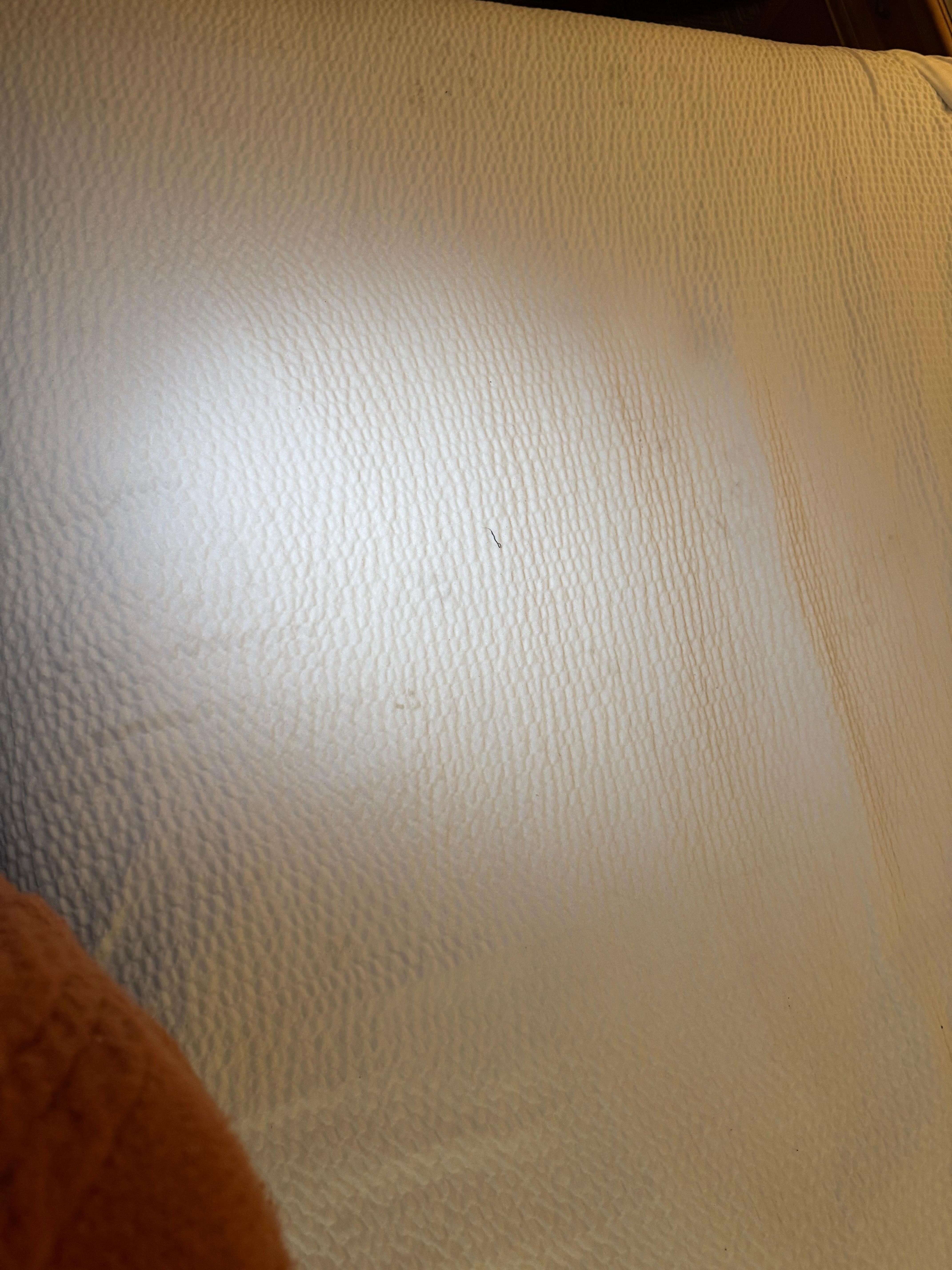 The sheets were heavily stained on the duvet and there was a significant amount of hair and dirt on the inside of the sheets as well. 