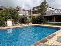 Great little pool and garden.