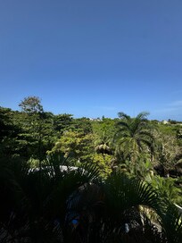 View from back balcony