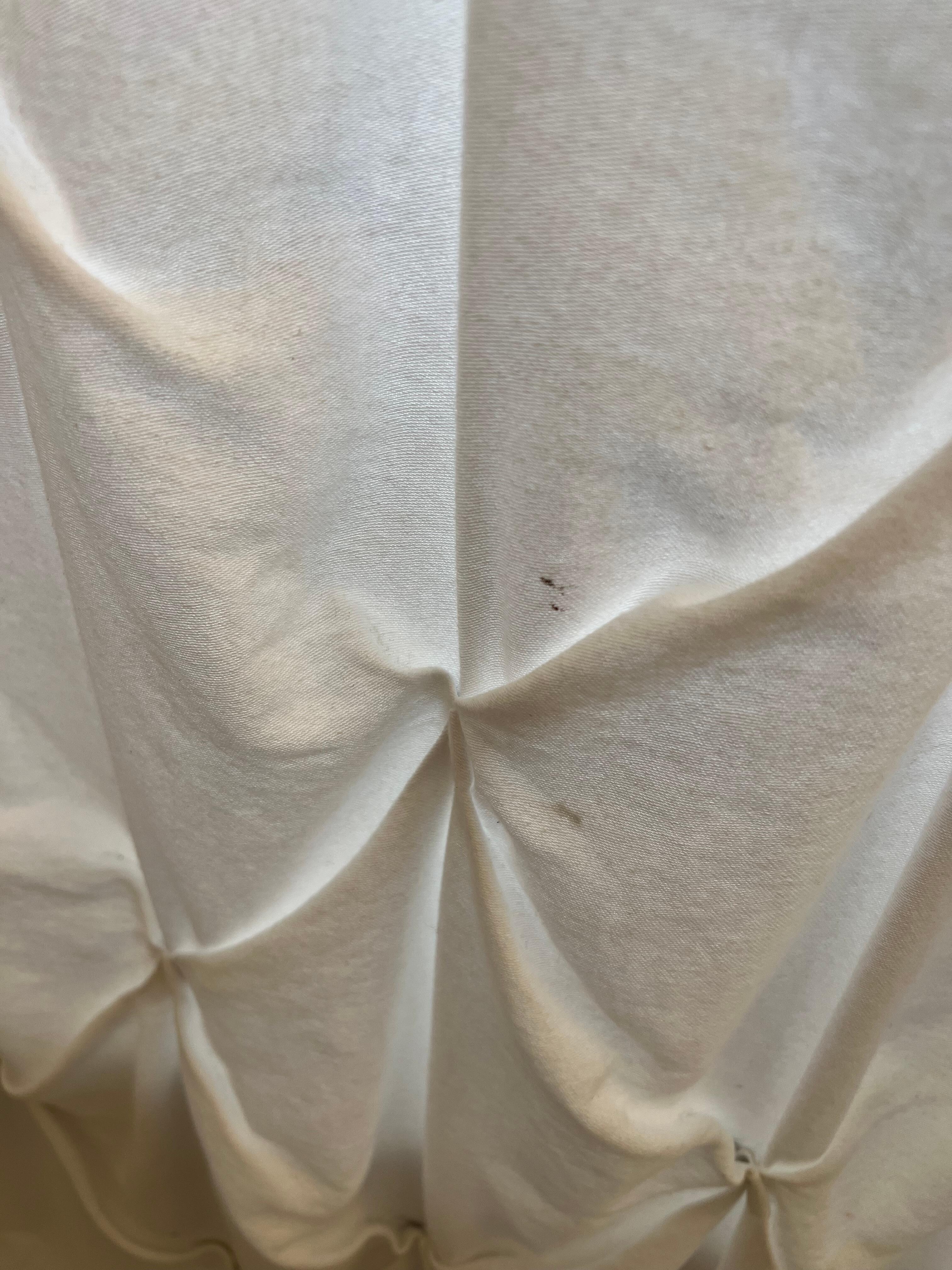 Main floor shower curtain dirty