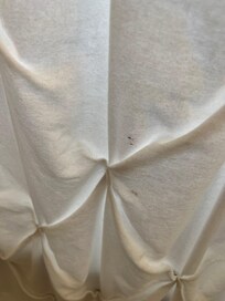 Main floor shower curtain dirty