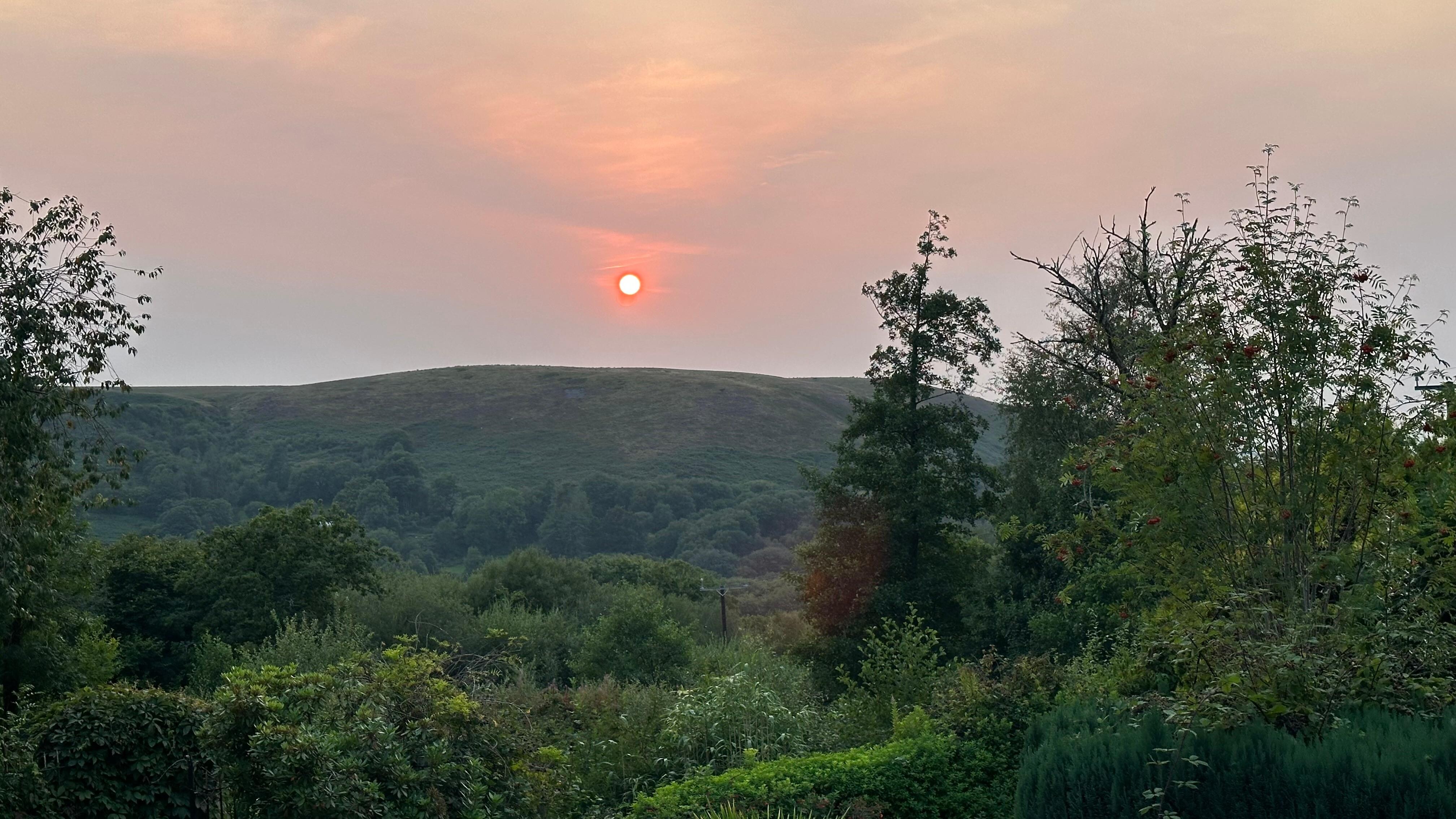  View from the annexe 