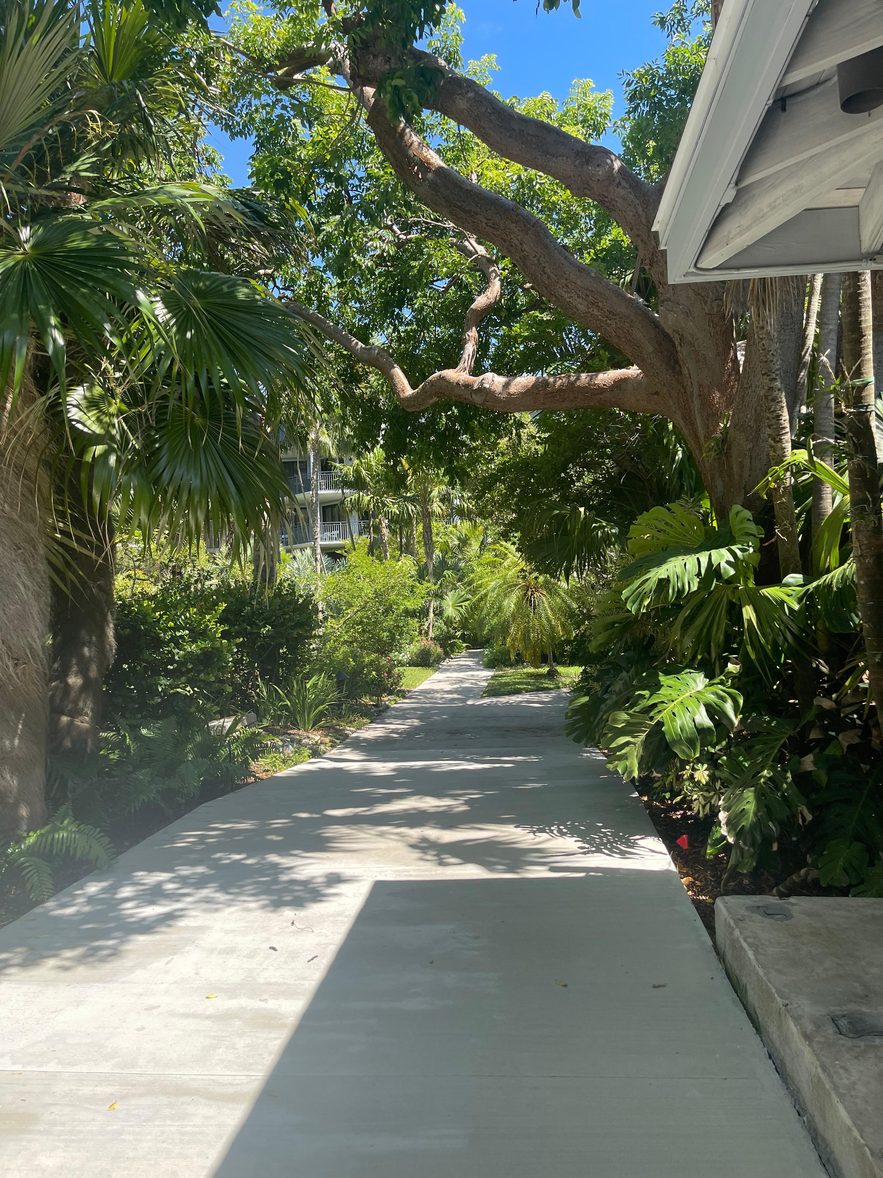 The stunning garden leading to the pool area and the ocean.