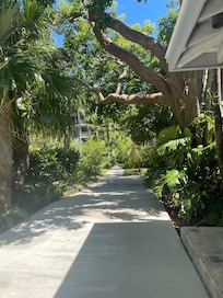 The stunning garden leading to the pool area and the ocean.