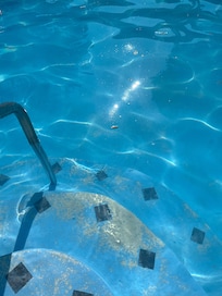 Cigarette butts in the pool