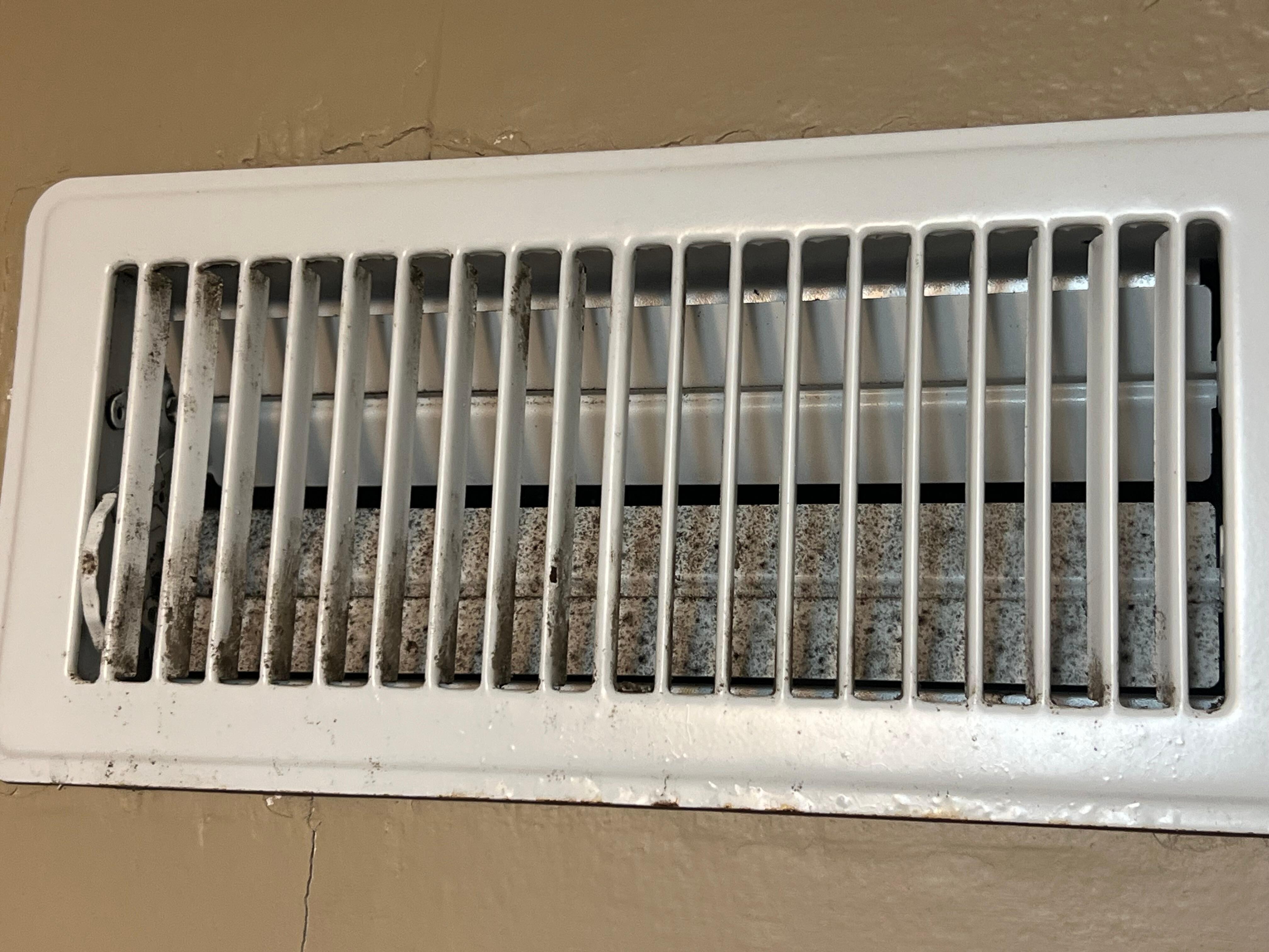 Black Mold in vent