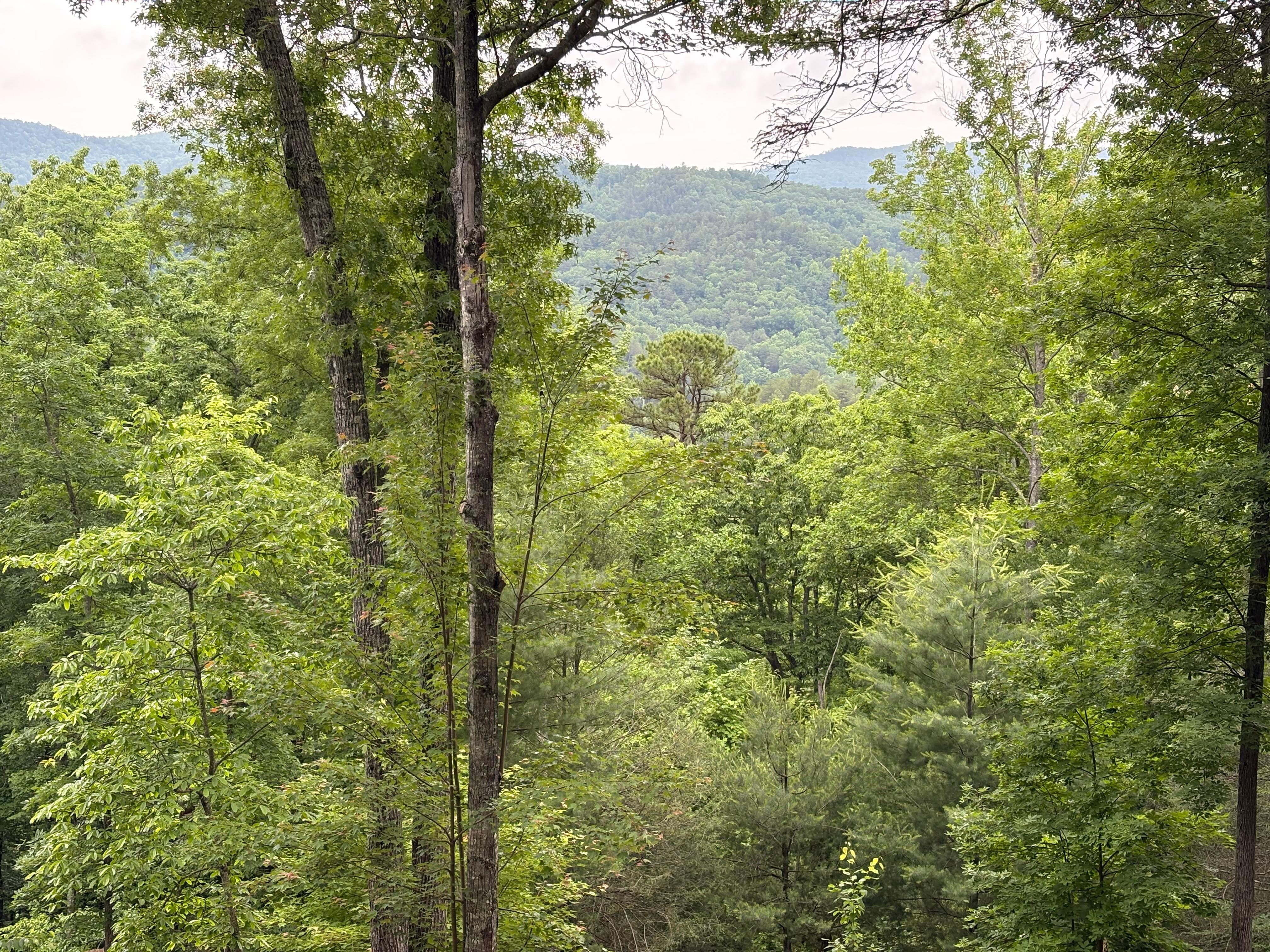 We loved looking at the mountains, so relaxing! 