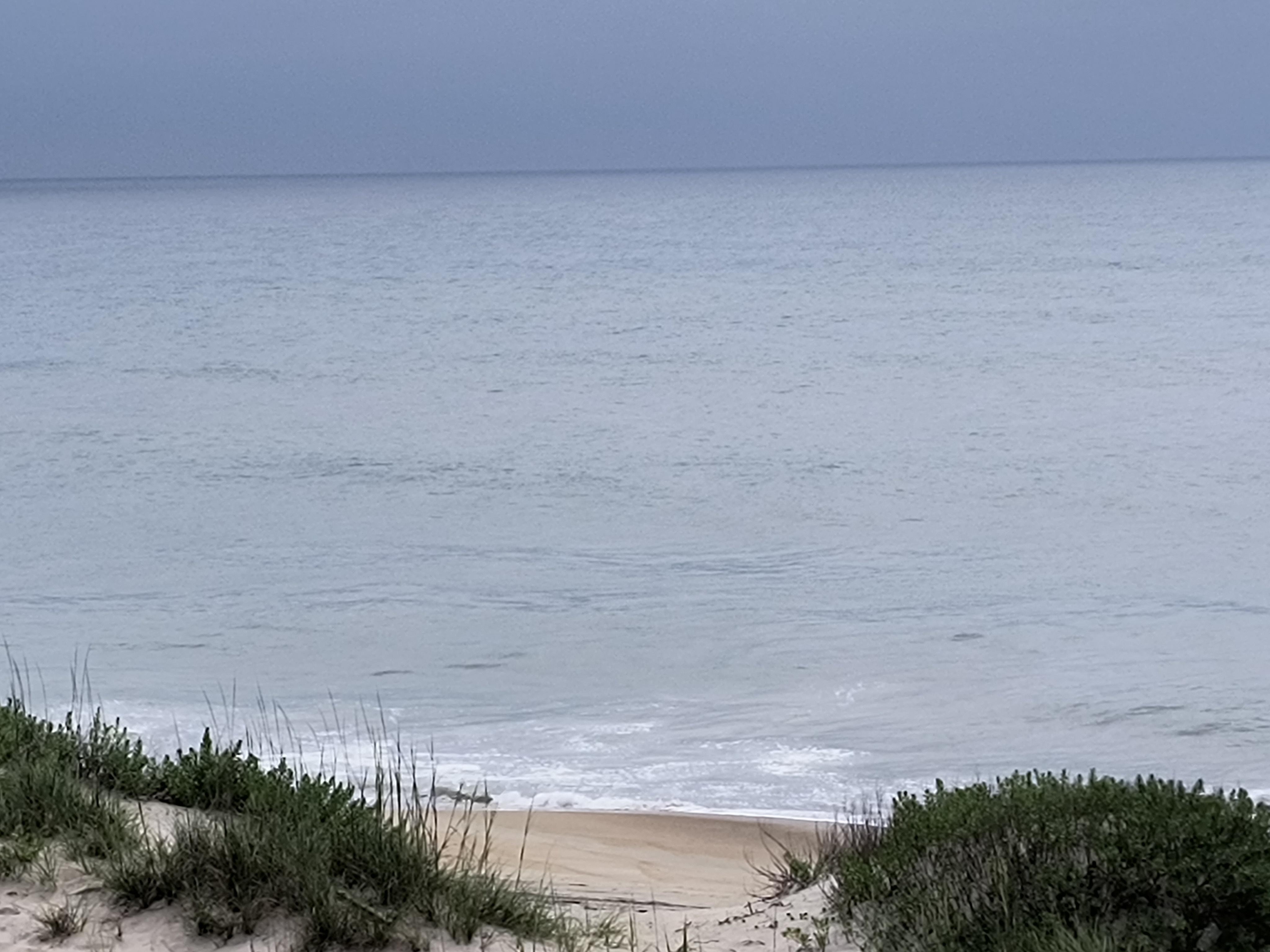 Ocean view from the boardwalk access
