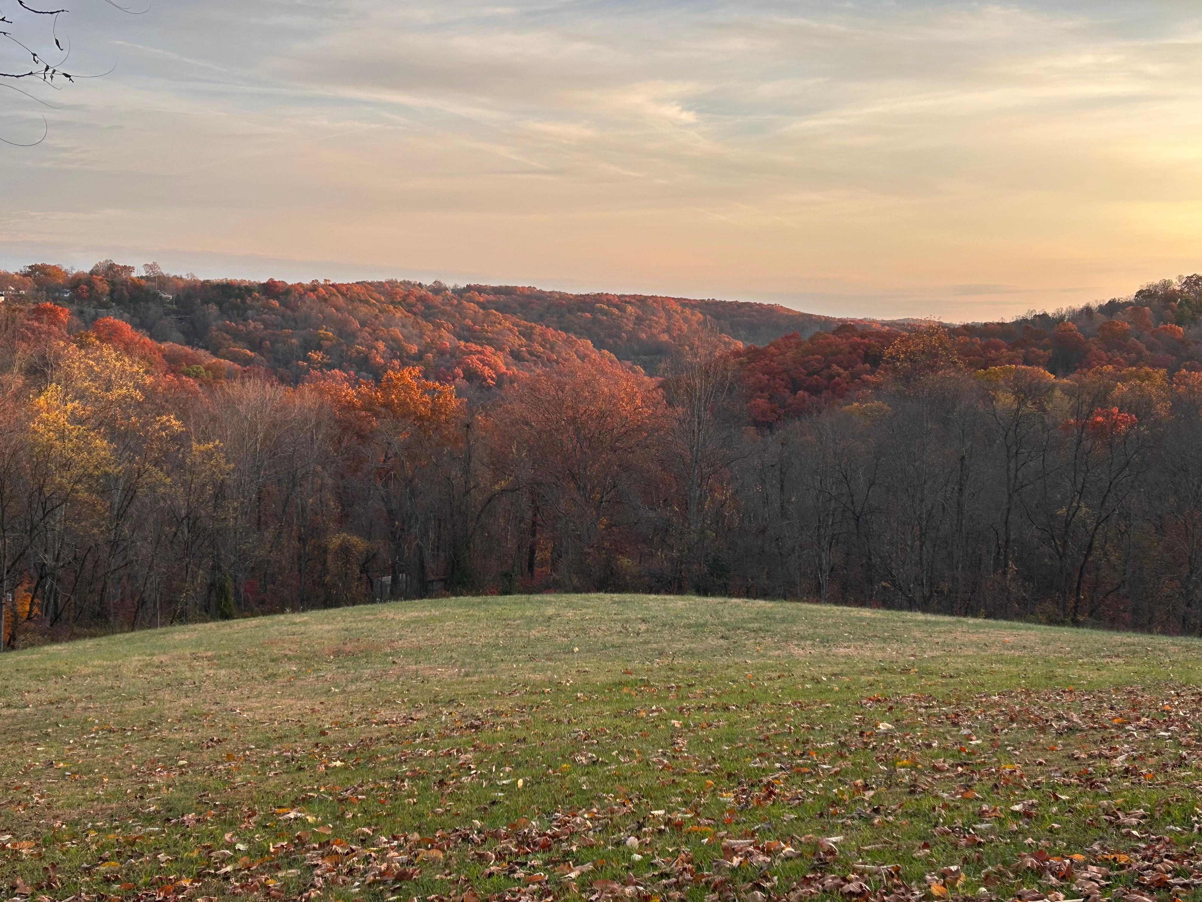 Beautiful view from the property on a fall morning! 