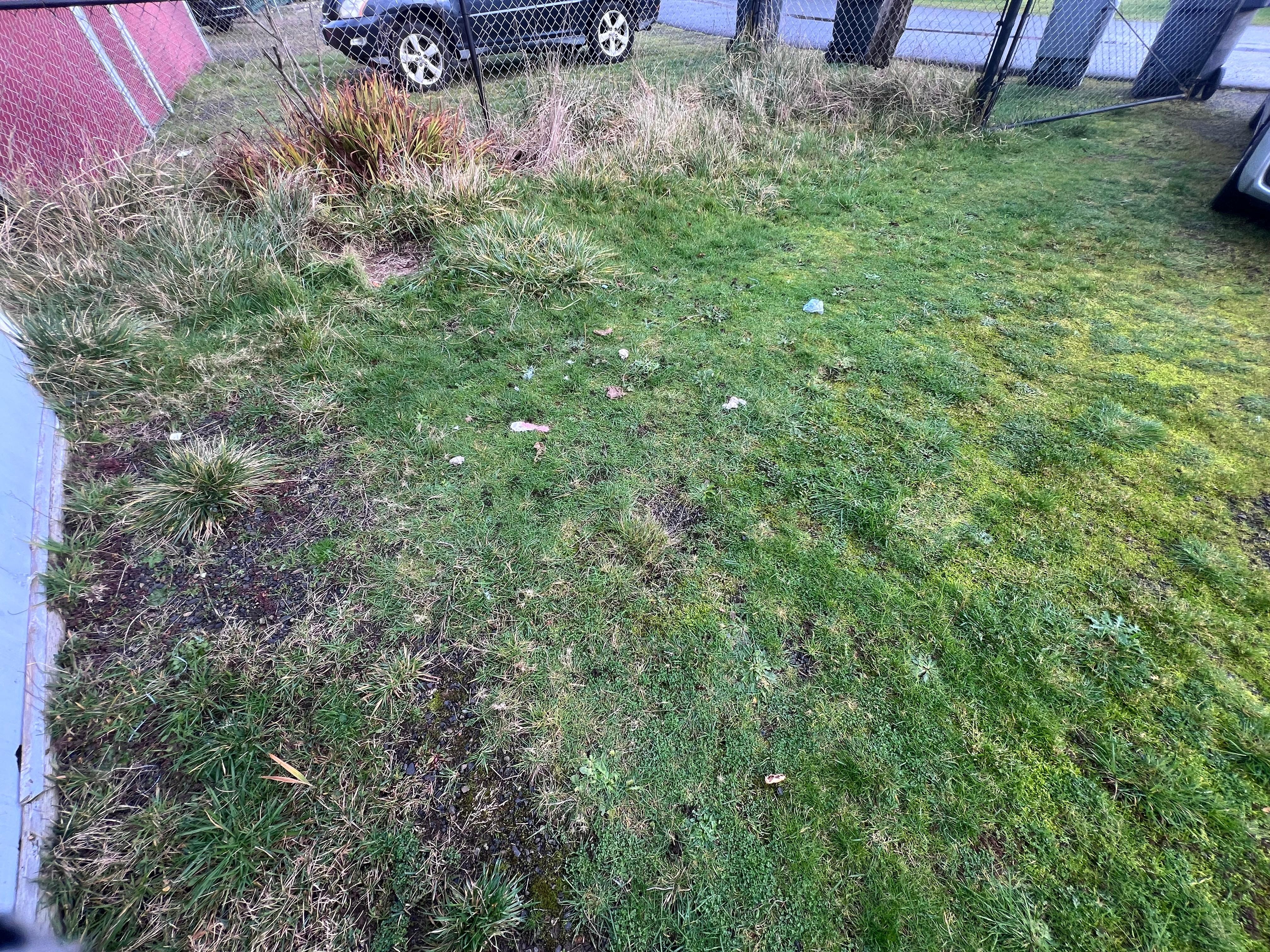 Trash outside the house