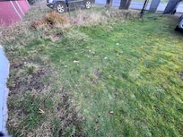 Trash outside the house