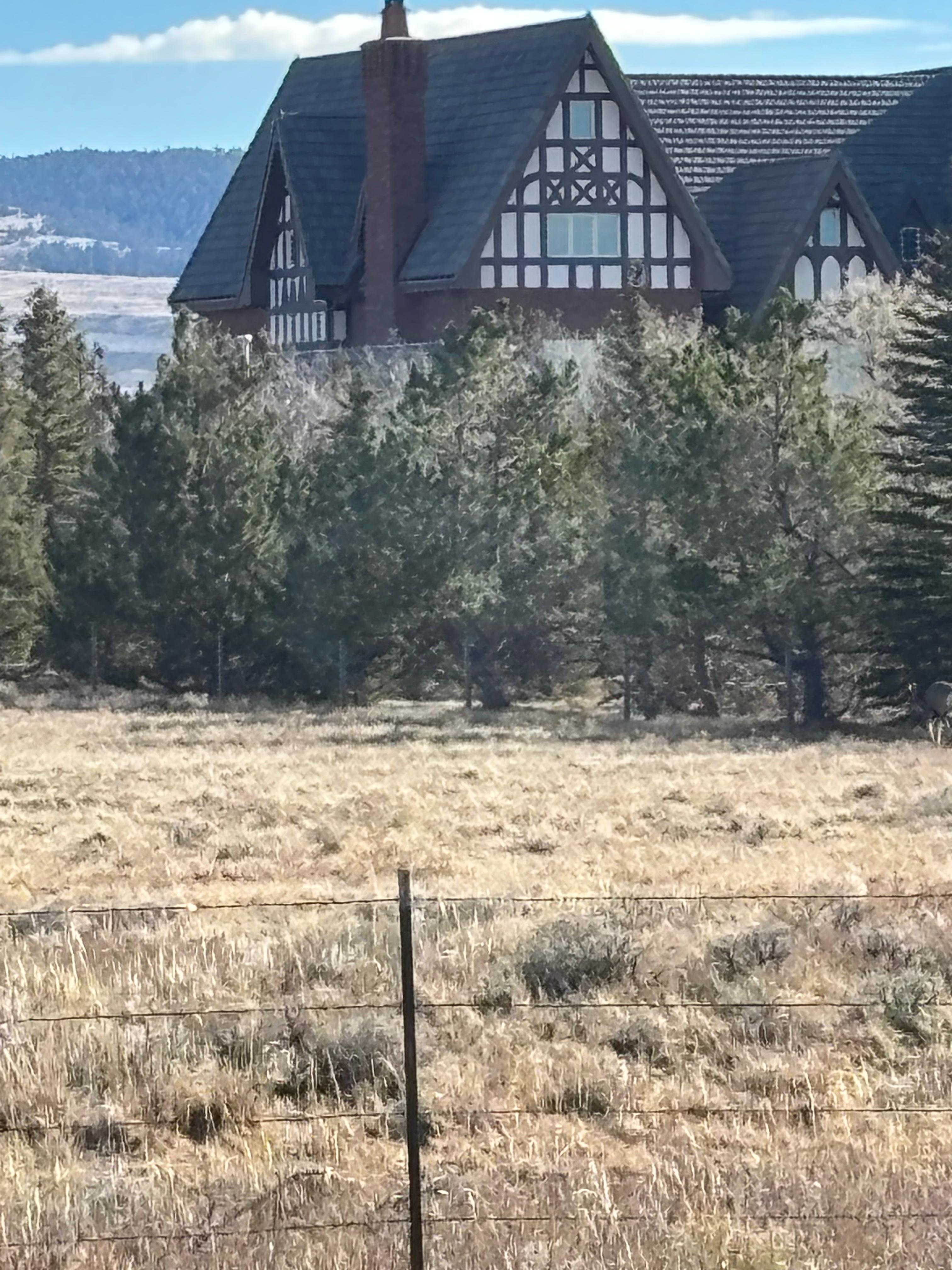 Saw a buck out the large front window over coffee! 