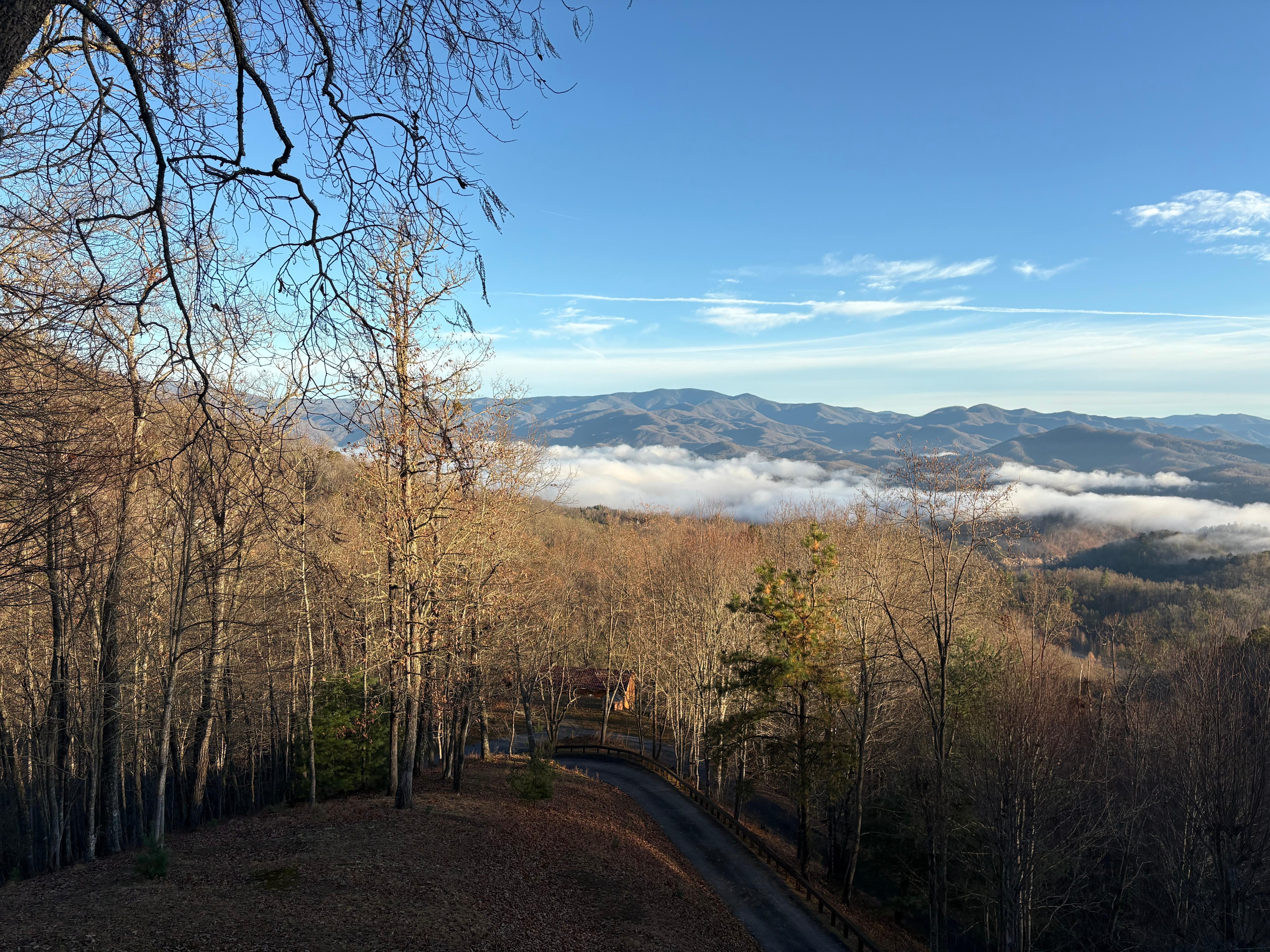 Morning view from main deck