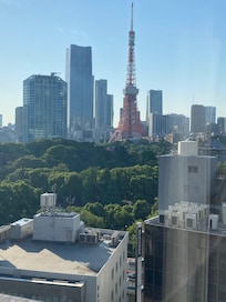 Vista desde la ventana de la habitación
