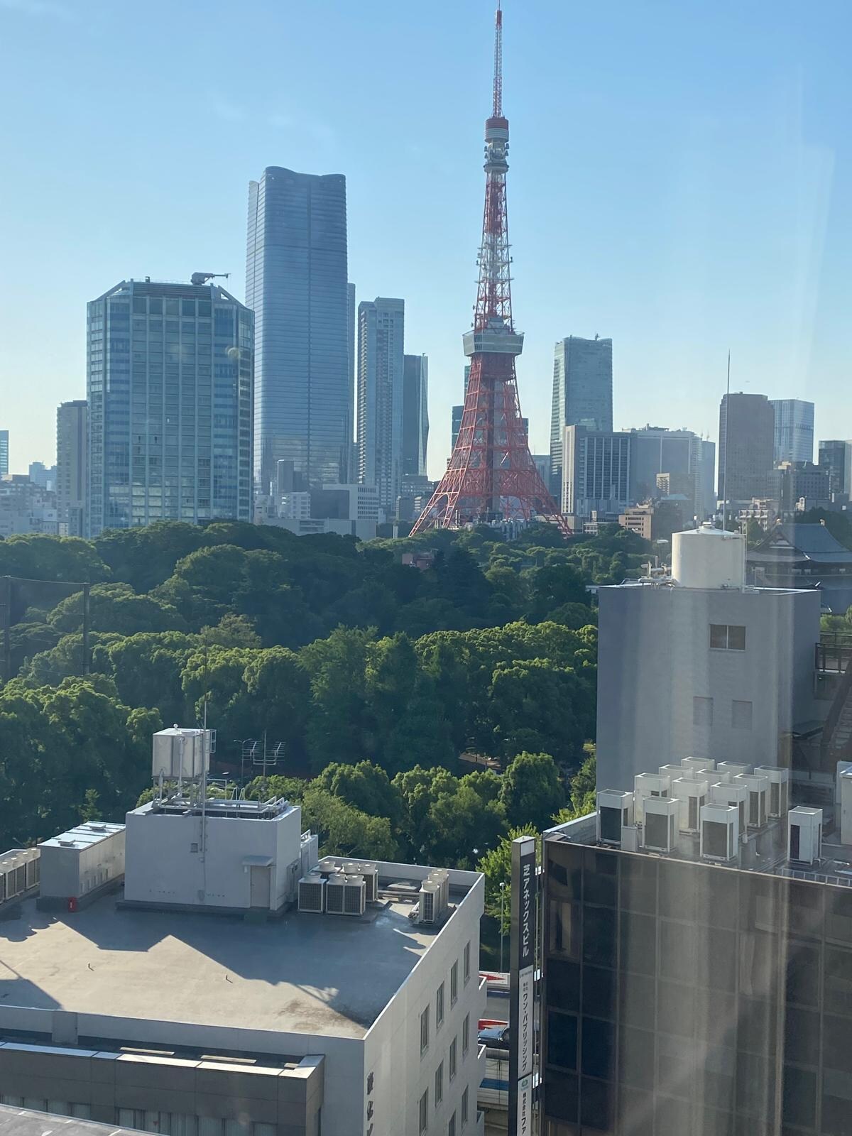 Vista desde la ventana de la habitación