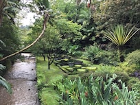 Parque do hotel Terra Nostra com piscina de água quente