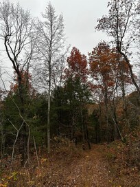 Trail…let’s hike