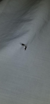Hole in the sheet