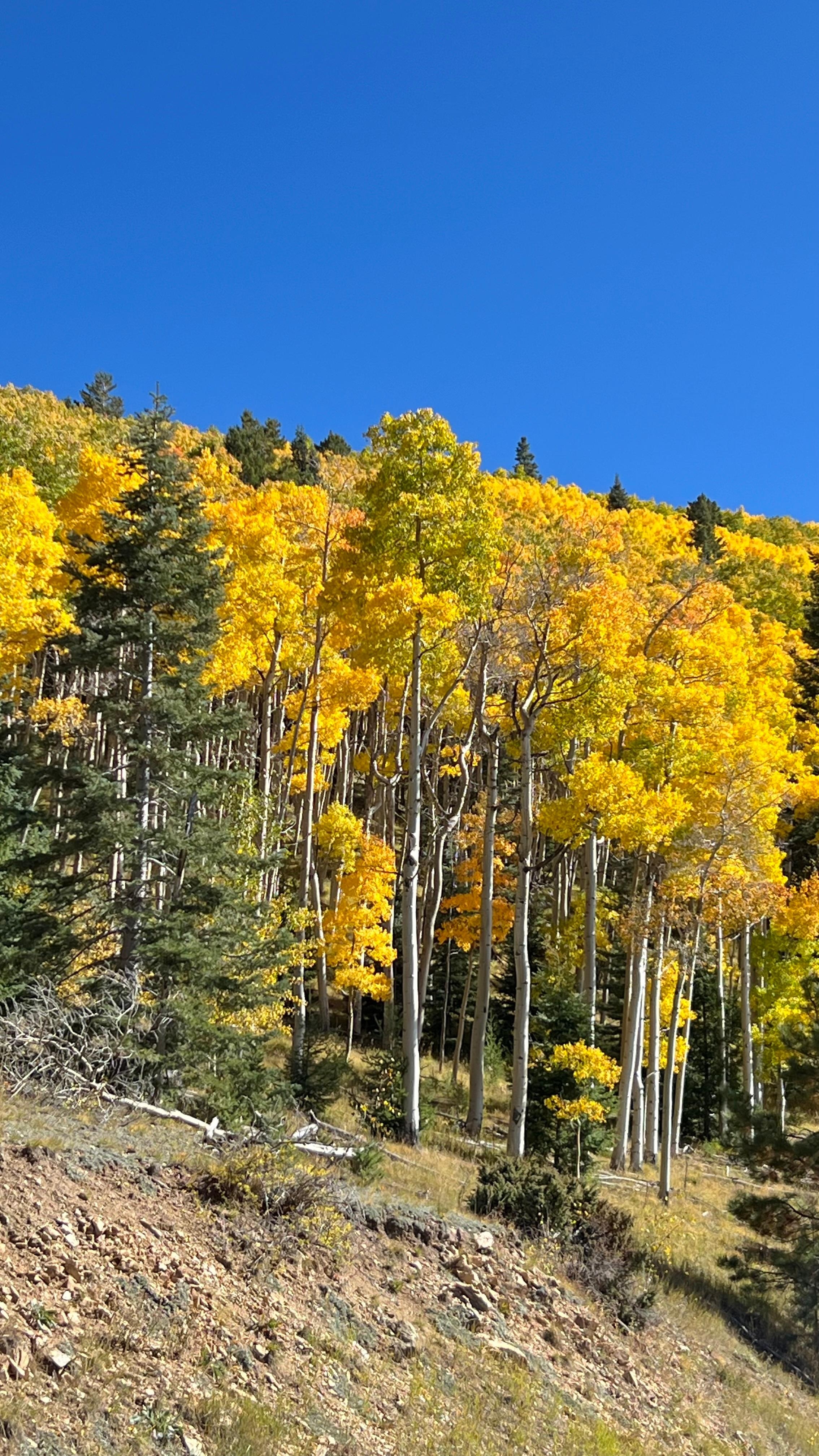 Highway 475 outside Santa Fe