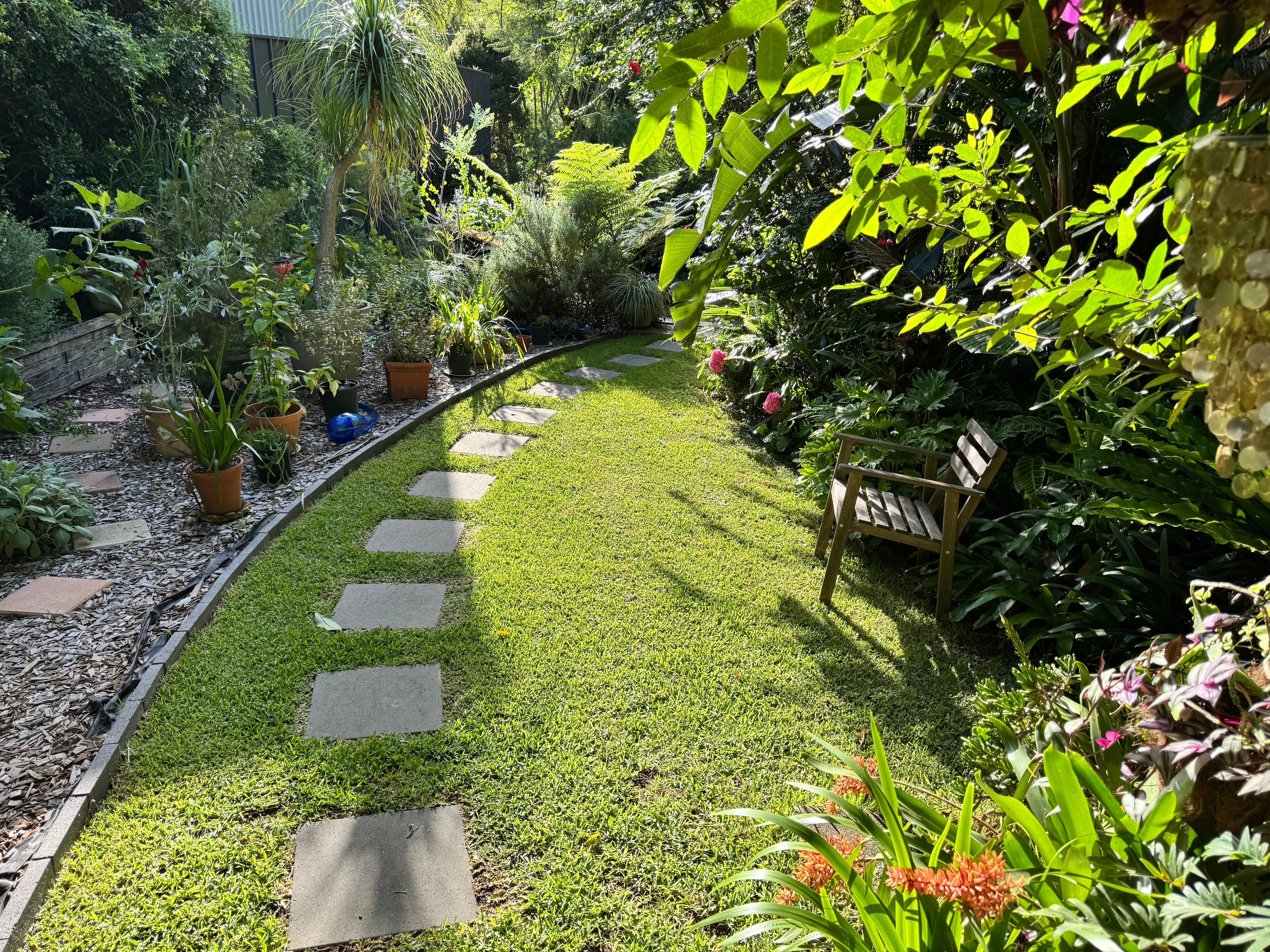 Beautiful approach to the studio.