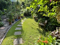 Beautiful approach to the studio.