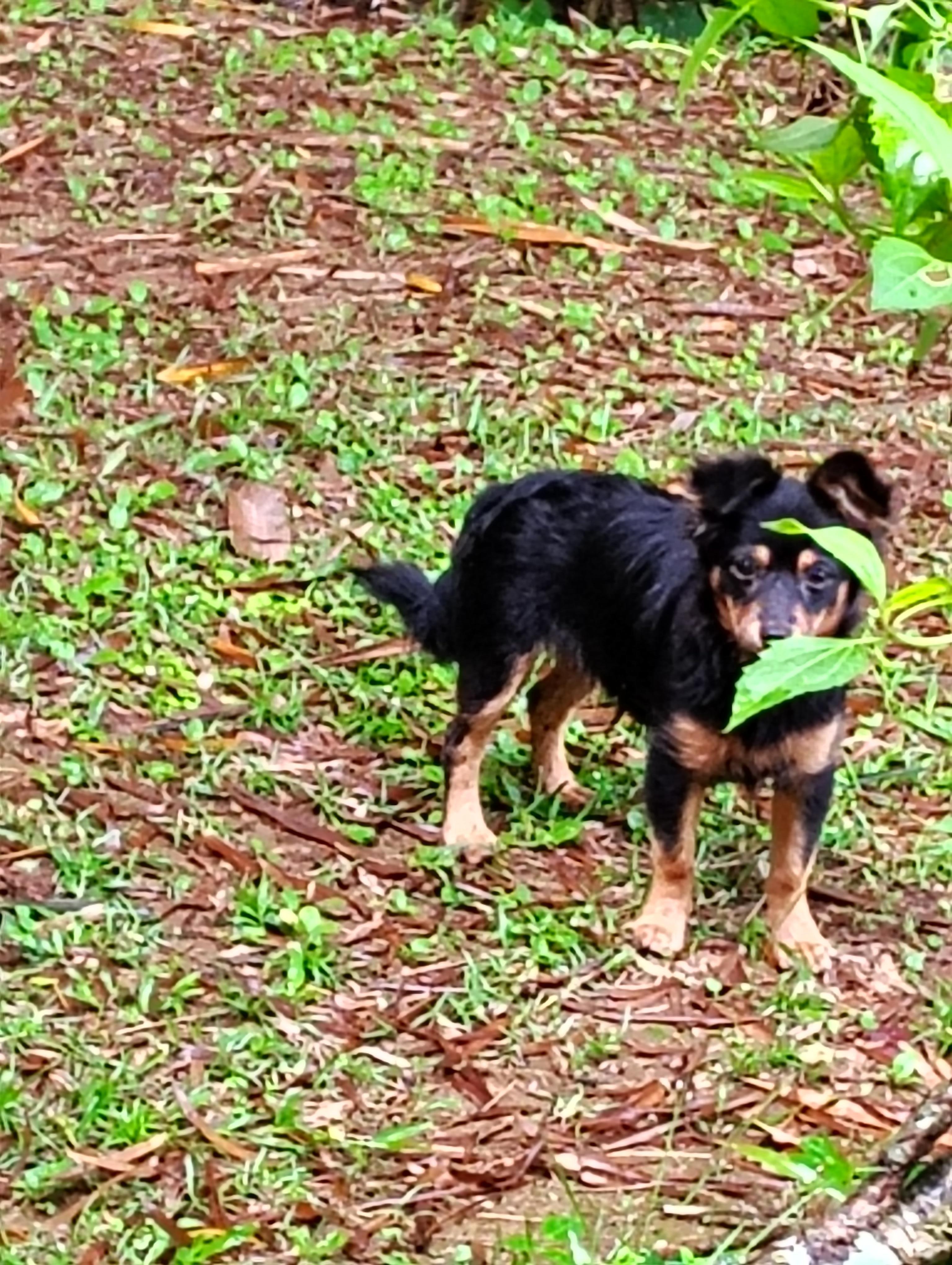 The best host. Little Pincha. She was waiting for us every day.