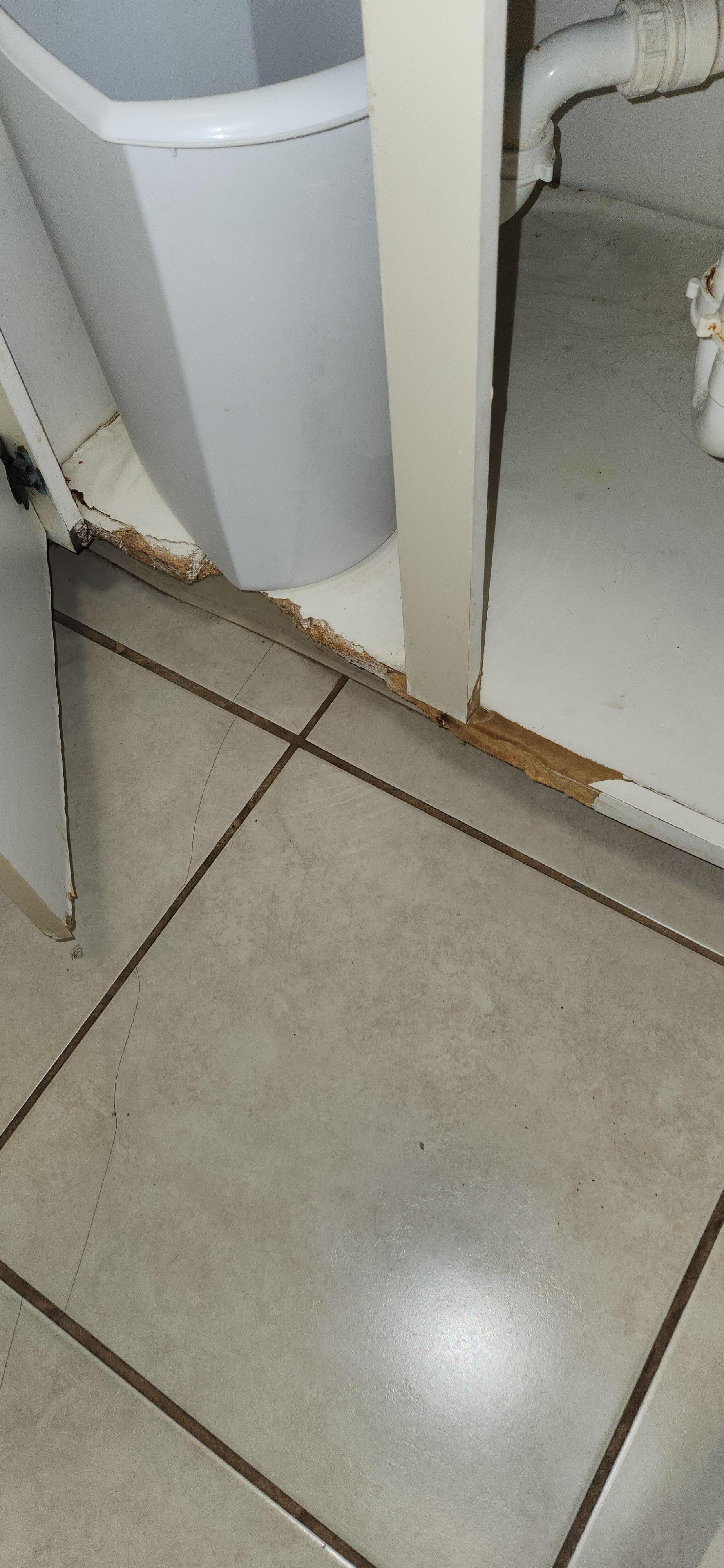 Kitchen cabinet rotting.