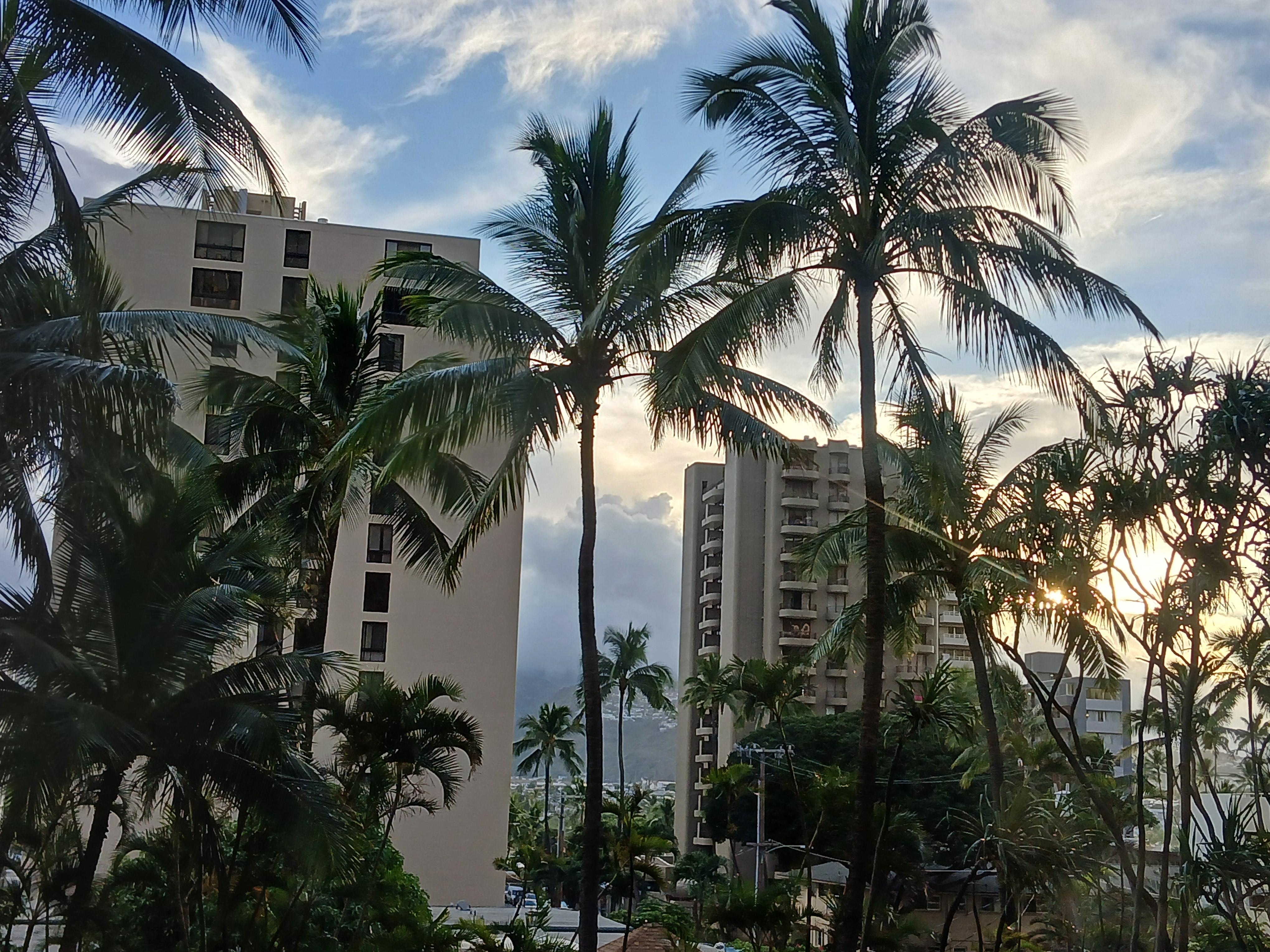 Pic is out off our balcony of the sunrise. 7-1-2025