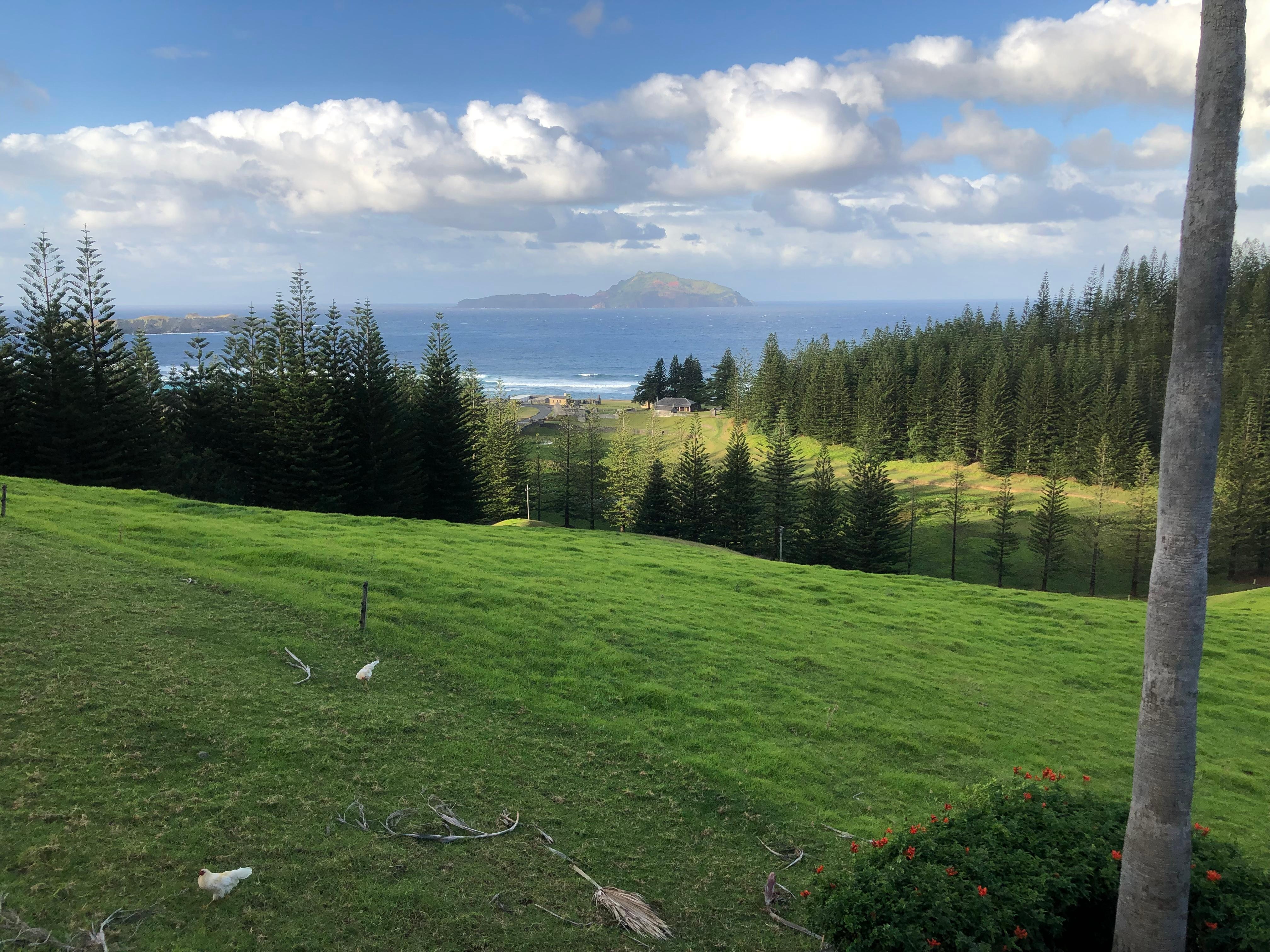 Wide view 