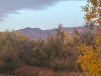 View from our window looking straight out to the mountains