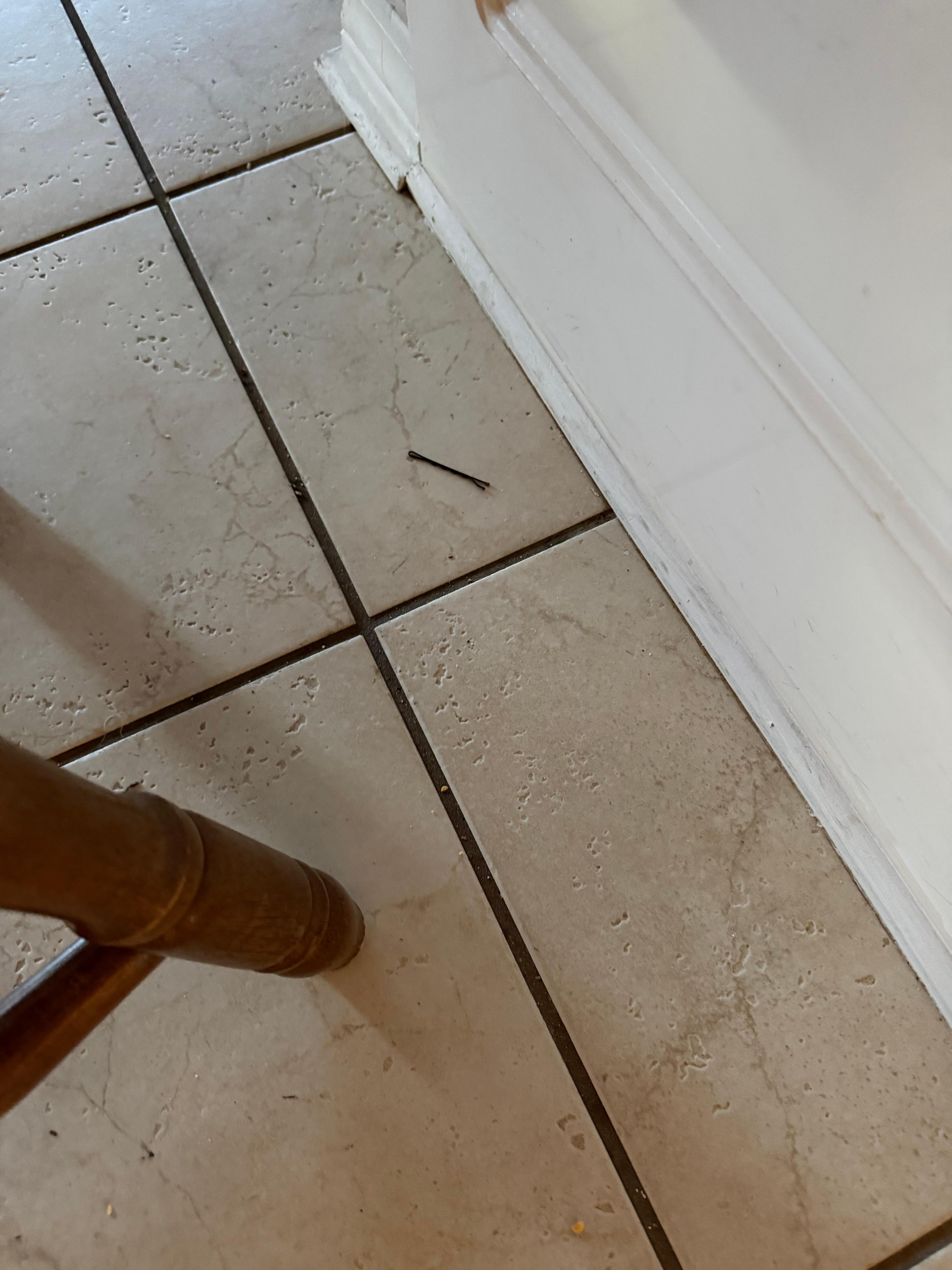 Floors and baseboards