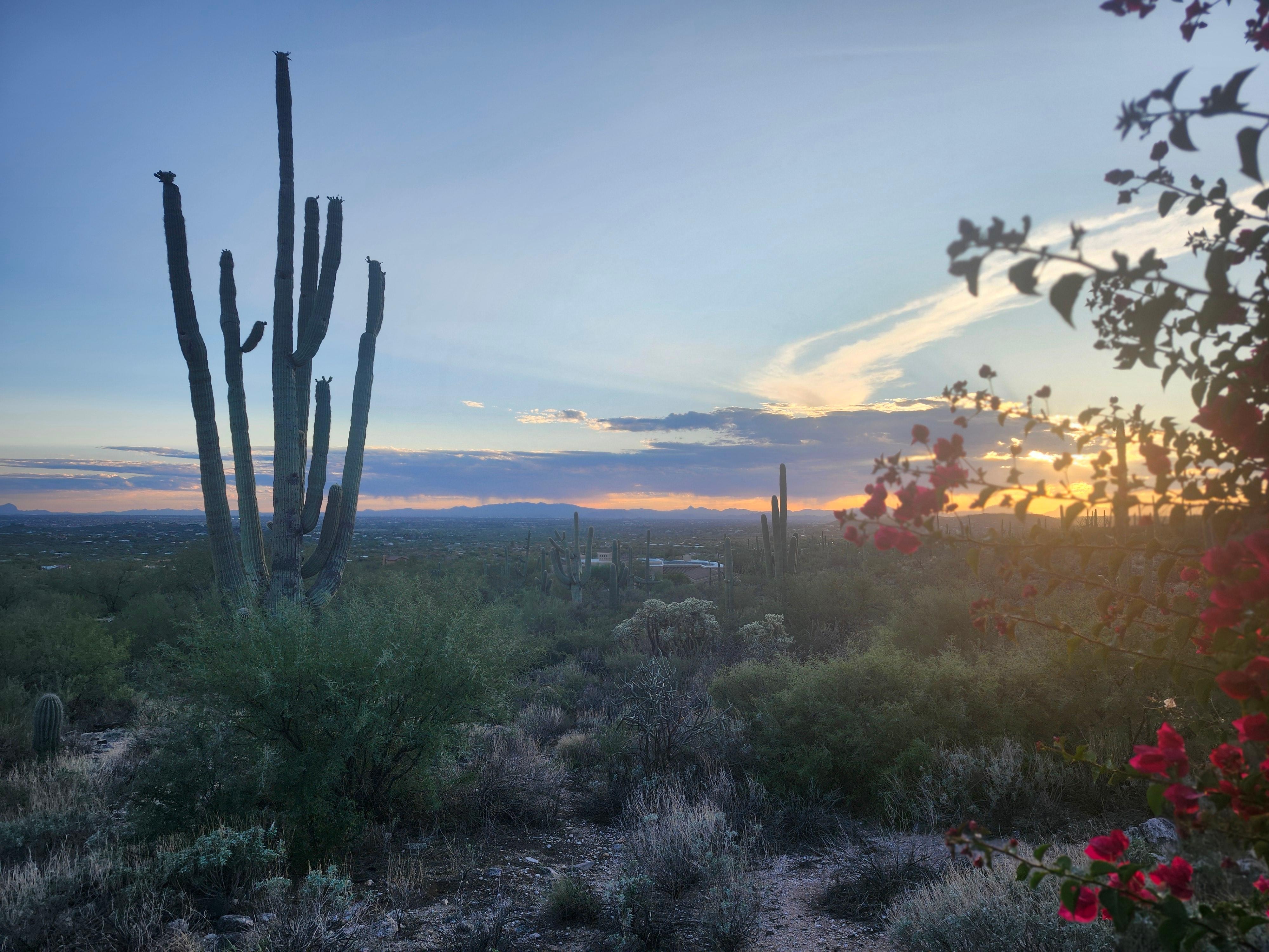 I loved every minute. 