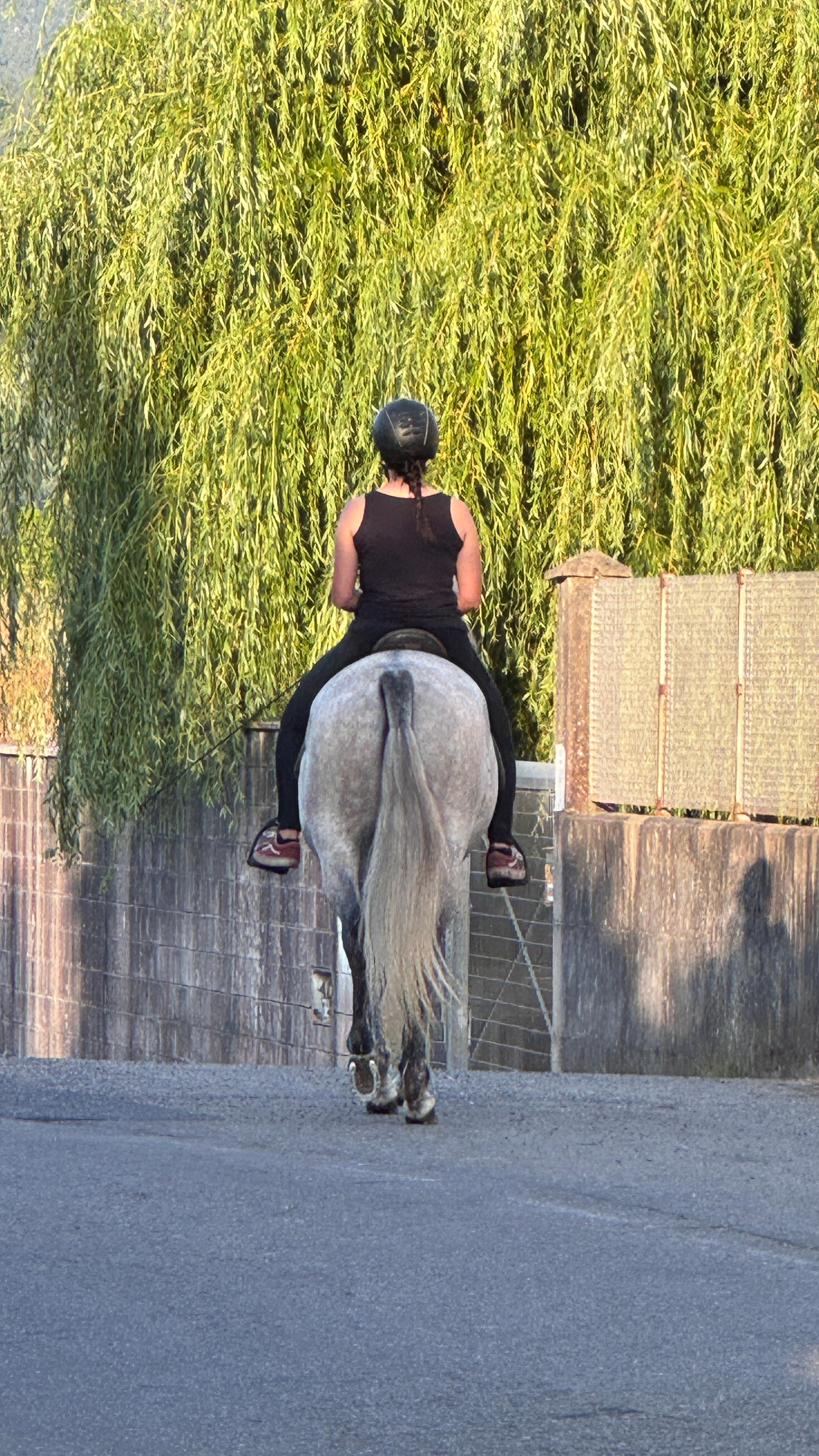 Sound of horses