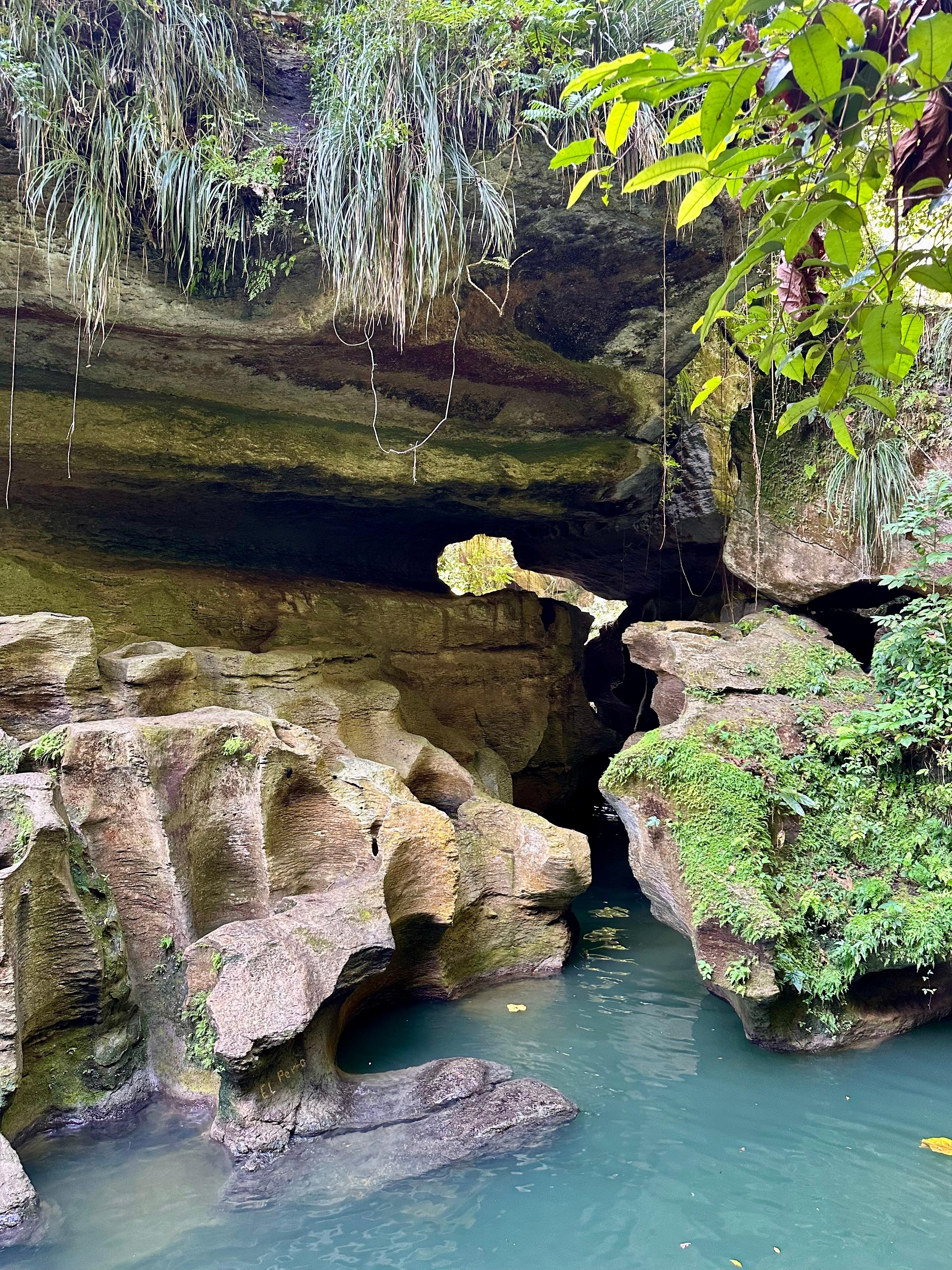 From our adventure with NaturHabitat eco tours. 