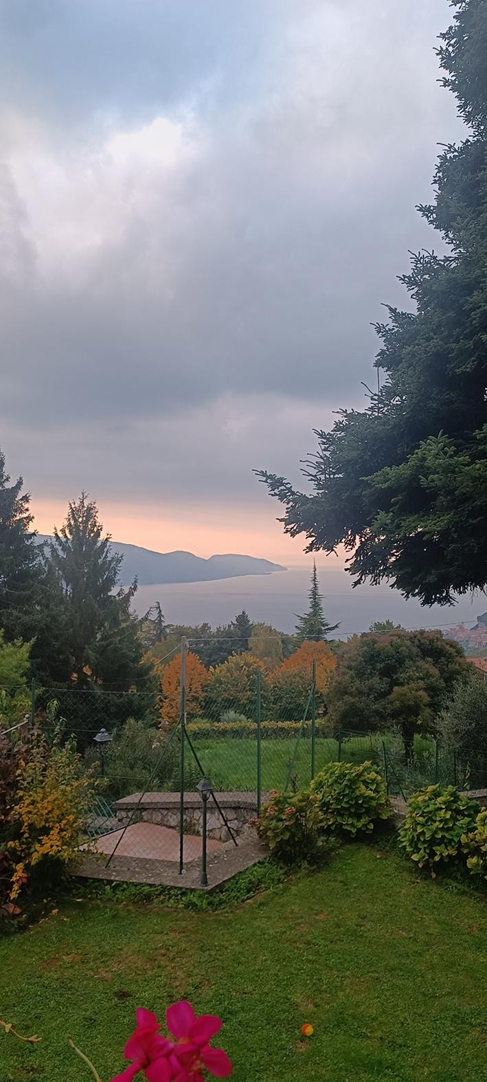 Blick auf den Garten