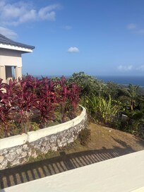 The view